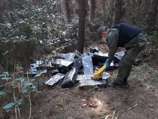Incautaron más de 700 kilos de marihuana en Jardín América