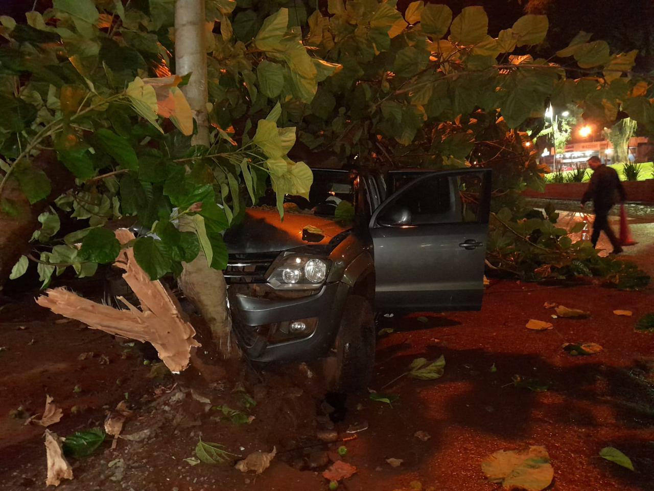 Oberá: joven despistó y terminó impactando contra un árbol