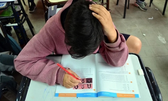 Vouchers educativos de Milei: el modelo que fracasó en Suecia y organismos repudian