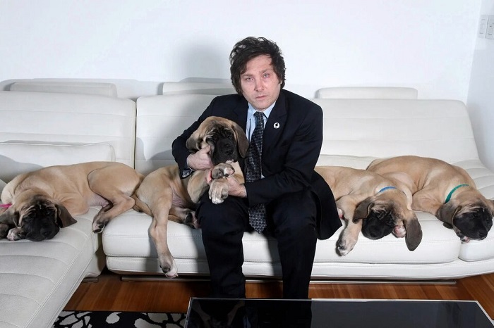 Photo of Javier Milei, los perros y su declaración de bienes