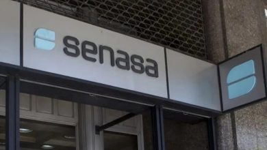 Photo of Los estatales cumplen una huelga de tres días en el Senasa y prometen paralizar exportaciones