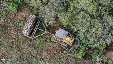 Photo of Chaco aprueba una nueva ley de Ordenamiento Territorial de Bosques que permitirá el desmonte de más de un millón de hectáreas