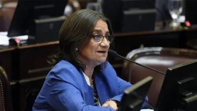 Photo of Contra Milei y Jalil: senadora catamarqueña anticipó su “no” a la Ley Bases