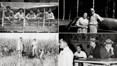 Photo of Javier Milei y la Década Infame