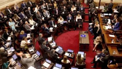 Photo of La Ley Bases llega tambaleando al Senado con Lousteau como garante del quórum