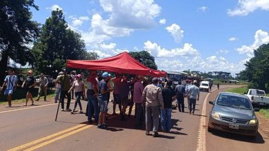 Photo of Mate amargo: la crisis de la yerba