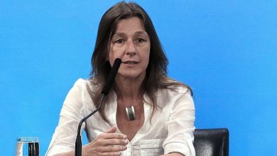 Photo of Sabina Frederic: “La Ley de Reiterancia es un peligro, no debería salir”