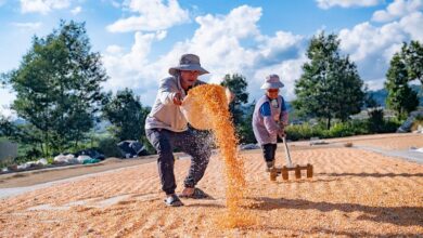 Photo of Una preocupación central en China: ¿corre peligro el alivio de la pobreza?