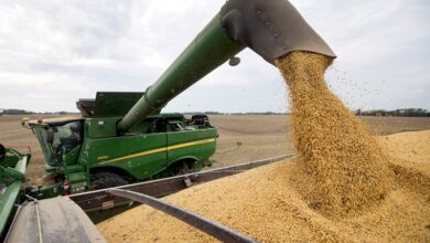Photo of Agro: ¿Qué cantidad y calidad de puestos de trabajo genera?