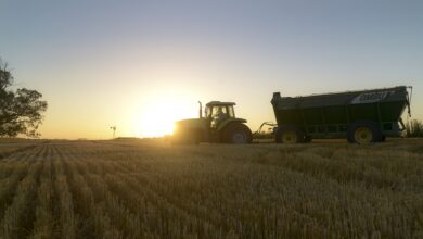 Photo of ​¿Quién gana?: Récord de renta agroexportadora 