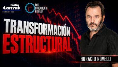 Photo of Horacio Rovelli: “Argentina vive una profunda transformación estructural hacia un modelo extractivista”