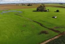 Photo of ​«Quieren permitir enclaves extranjeros por nuestros recursos naturales» 