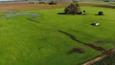 Photo of ​«Quieren permitir enclaves extranjeros por nuestros recursos naturales» 