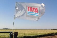 Photo of El INTA como pilar de la soberanía científico-tecnológica del agro argentino: disputa global y contexto nacional