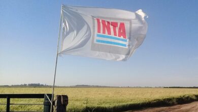Photo of El INTA como pilar de la soberanía científico-tecnológica del agro argentino: disputa global y contexto nacional