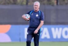 Photo of “Una tormenta eléctrica”: la particular metáfora de Gustavo Alfaro para analizar Paraguay vs. Francia