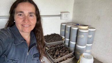 Photo of «La última vez que se exoneró gente fue en la dictadura»
