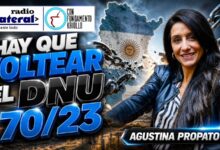 Photo of Agustina Propato: ‘La resistencia parece no alcanzar’ frente al saqueo y la derogación de la Ley de Tierras